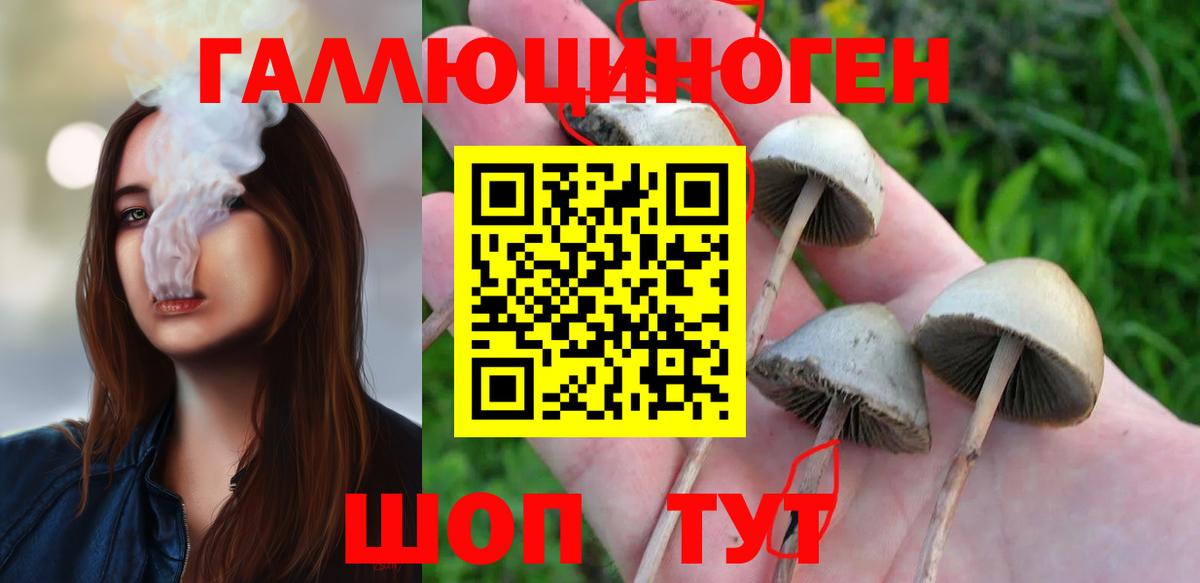 Красноармейск  Псилоцибиновые грибы Magic Shrooms  Галлюциногенные грибы мицелий  Вход с VPN 
